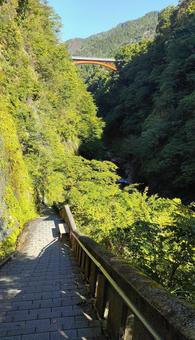小安峡(秋田県湯沢市) 小安峡(秋田県湯沢市)の写真