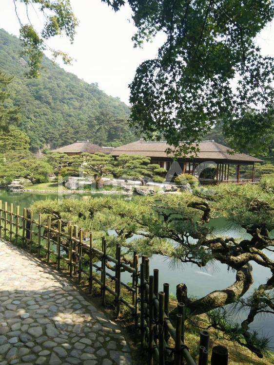 公園の池と東屋 東屋,池,木の写真素材