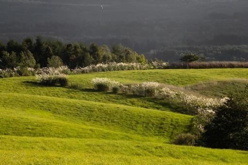 A ranch in the evening with silver grass shining, JPG
