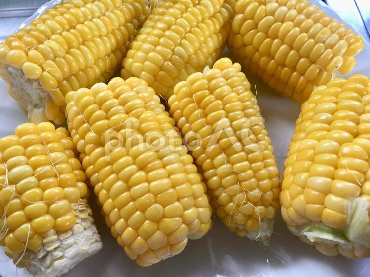 とうもろこし トウモロコシ,野菜,フードの写真素材