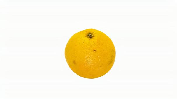 Grapefruit (transparent background), JPG Grapefruit (transparent background), JPG