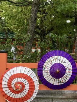 和傘＠平安神宮 傘,かさ,和傘の写真素材