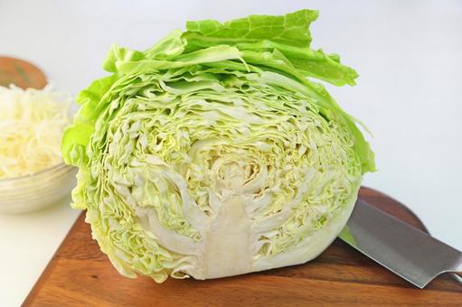 キャベツ キャベツ キャベツ,野菜,カットの写真素材
