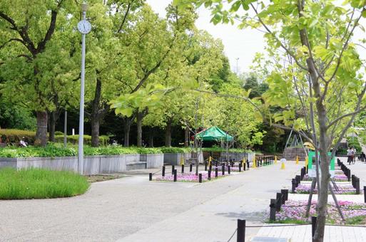 公園 公園の写真
