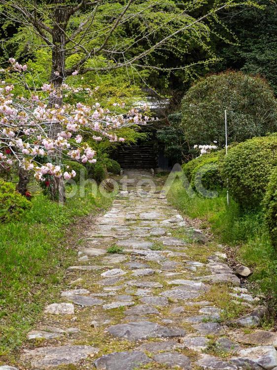 高蔵寺の風景⑶ 寺,高蔵寺,角田市の写真素材