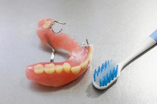 部分入れ歯の手入れ_02 部分入れ歯,入れ歯,歯ブラシの写真素材