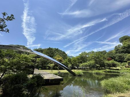 晴天 雲 夏 自然 森林 晴天 雲 夏 自然 森林 晴天,景色,風景の写真素材