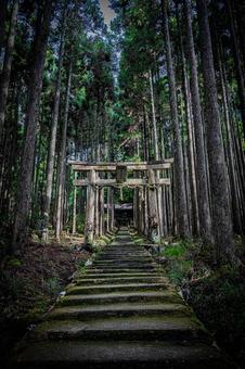 京都　賀茂神社の風景 京都,京都府,京都市の写真素材