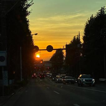 夕空と街路樹と道を走る車の写真