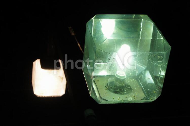 夜の街路灯に集まる小さい虫 街灯,夜,虫の写真素材