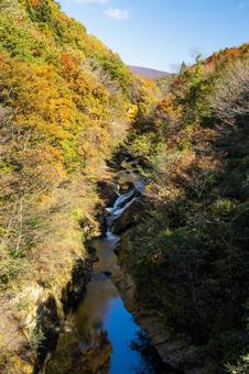 秋の横川渓谷⑴の写真
