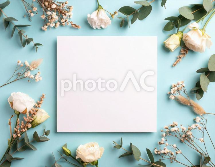ドライフラワーの爽やかなテキスト枠 ドライフラワー,フローラル,フレームの写真素材