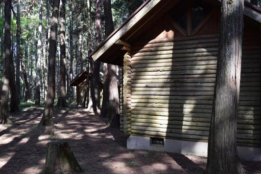 森林内に建つログハウス ログハウス,ログホーム,ログキャビンの写真素材