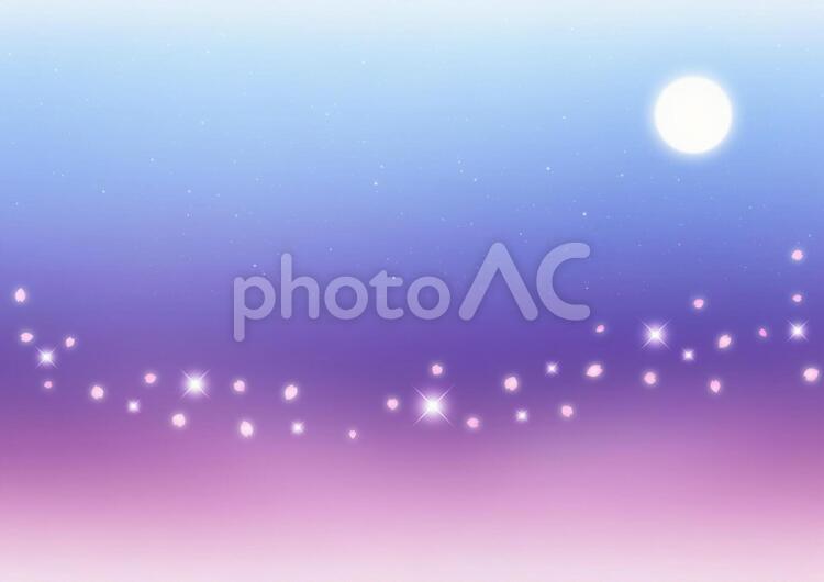 夜桜　満月と煌めく桜吹雪　背景素材（青×紫） 満月,煌めく,春の写真素材