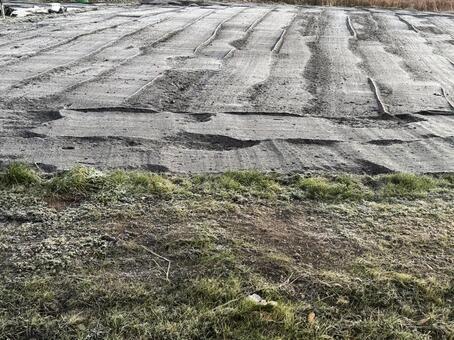 畑の霜 畑の霜,降霜,冬の朝の写真素材