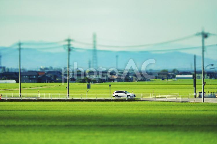 田園風景と車 田園風景,道,家の写真素材