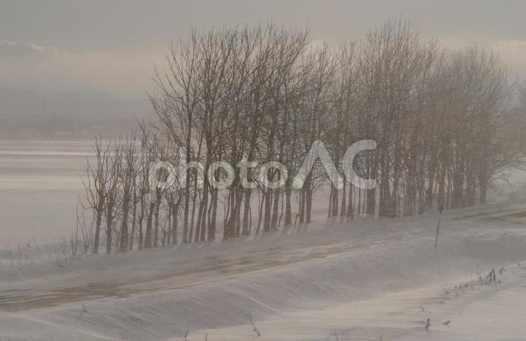 冬の畑 冬,風景,冬景色の写真素材