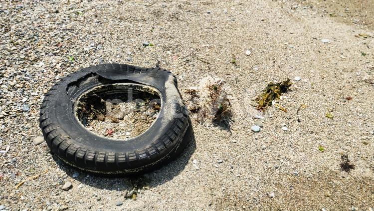浜に打ち上げられたタイヤ 浜,タイヤ,風景の写真素材