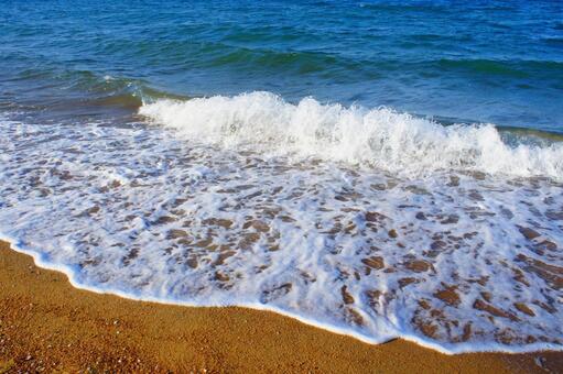 福岡県、シーサイドももち海浜公園36 風景,日本,九州の写真素材