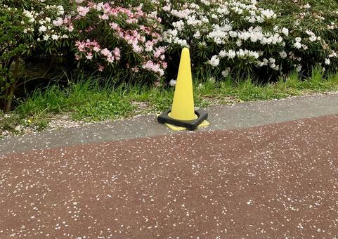 注意喚起の黄色いコーン 注意喚起の黄色いコーンの写真