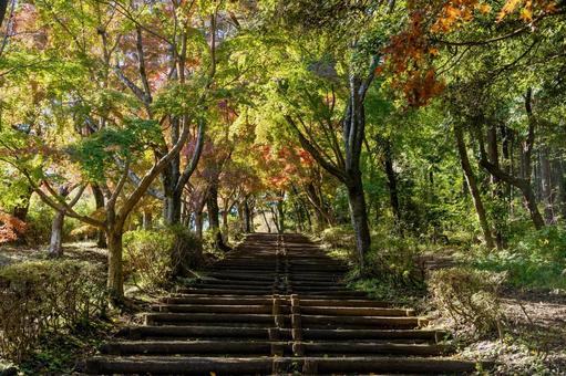 紅葉シーズンがやってくる 紅葉シーズンがやってくる 紅葉,登山,ハイキングの写真素材