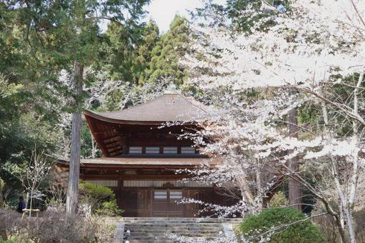三井寺(園城寺)一切経堂 三井寺(園城寺)一切経堂の写真