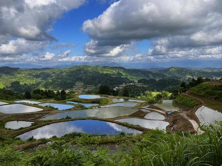 山の上の棚田 山の上の棚田 棚田,山の上,山古志の写真素材