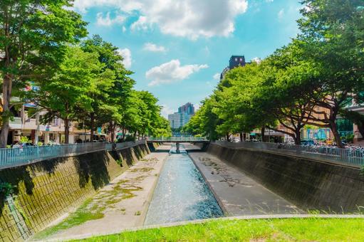 【台湾】台中の風景 2025 【台湾】台中の風景 2025 台中,ビル,風景の写真素材