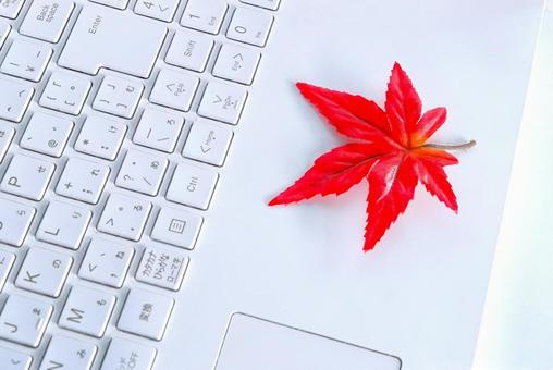 パソコンと紅葉② パソコン,ビジネス,紅葉の写真素材