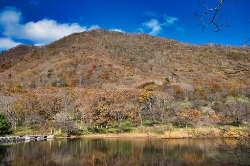 覚満渕遊歩道からの眺め 風景,青空,晴れの写真素材