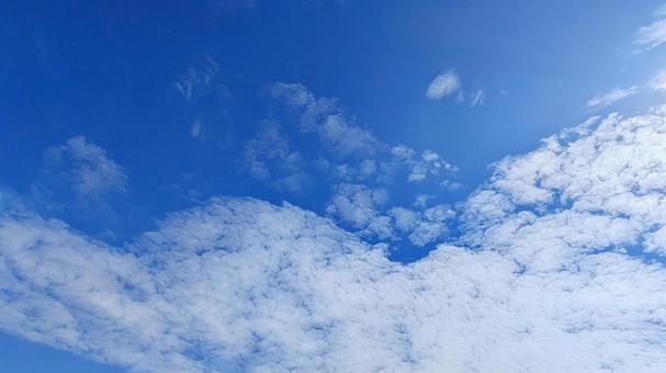 青のキャンバス-100 青のキャンバス-100の写真