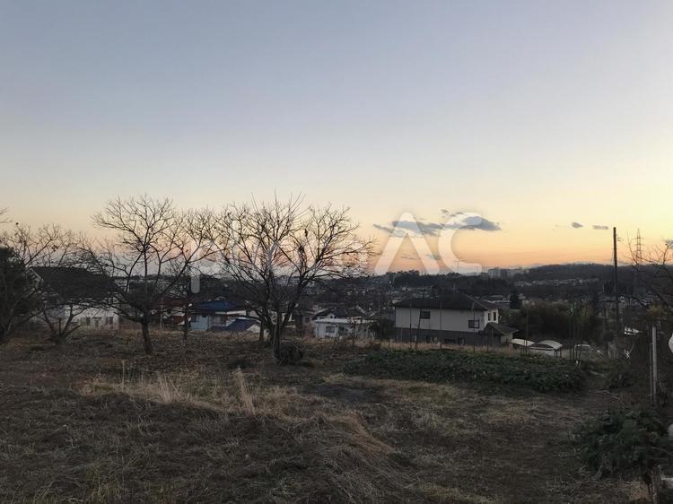 実家から見る夕暮れ 風景,木,日暮れの写真素材