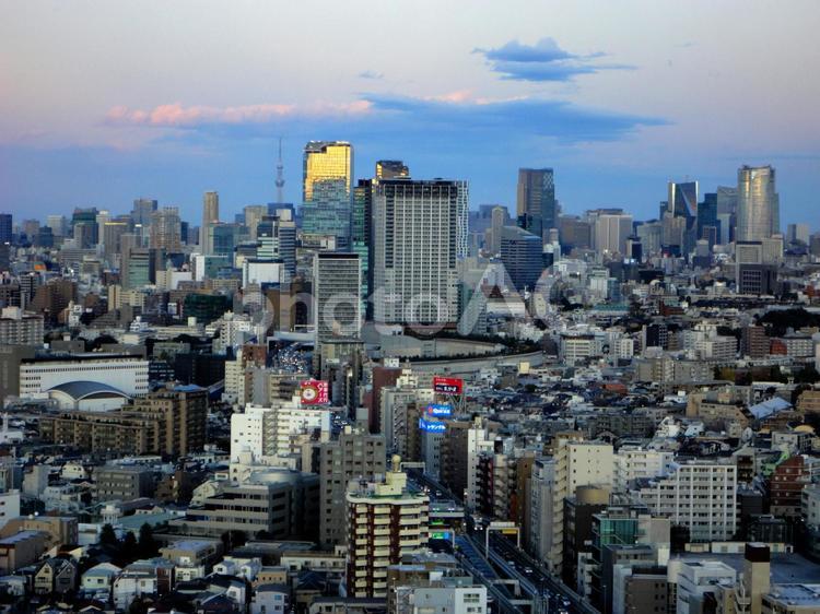 夕暮れ時の東京都心部 展望台,ビル群,都市の写真素材