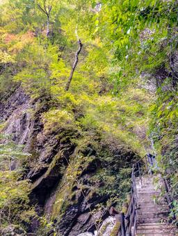 紅葉と渓谷美 竜化の滝,紅葉,ハイキングの写真素材