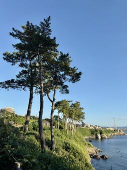 福井県東尋坊 日本海の見える遊歩道 福井県東尋坊 日本海の見える遊歩道の写真