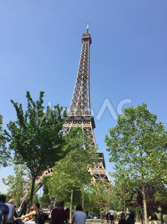 初夏のエッフェル塔と観光客 エッフェル塔,パリ,フランスの写真素材