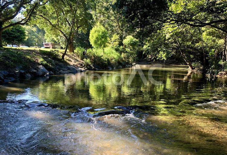 石の上を流れる小川の静水 小川,清い水,なめらかの写真素材