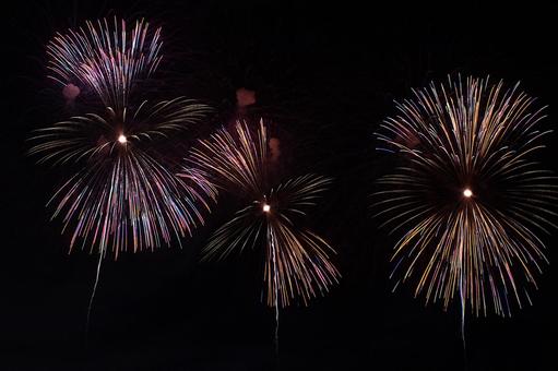 25年長岡まつり 花火 25年長岡まつり 花火の写真