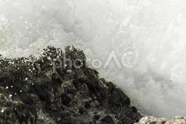 伊良湖の岩海苔11（田原市） 岩海苔,のり,特産品の写真素材