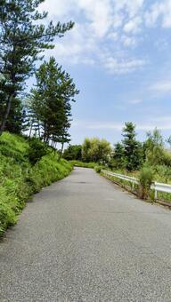 青空と緑に囲まれた自然豊かな散歩道（縦） 散歩道,緑道,道路の写真素材