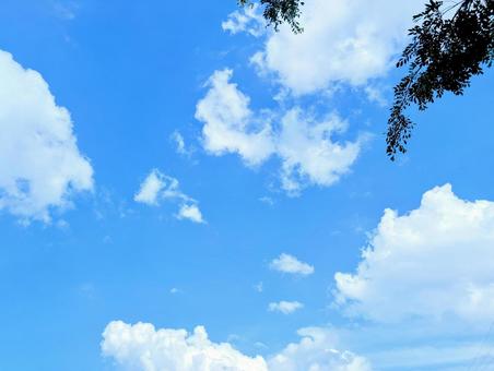 青空と雲 青空と雲の写真
