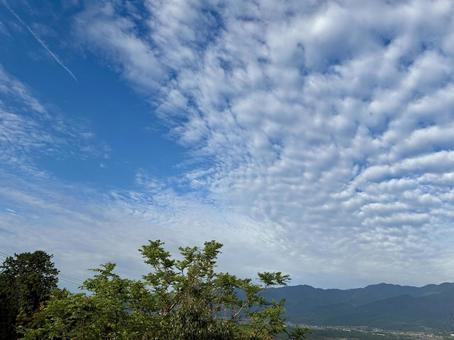 うろこ雲空の風景の写真
