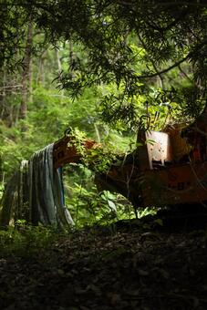 森の中のショベルカー 林業,森,林道の写真素材