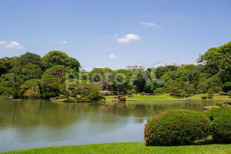 六義園の風景 六義園,風景,自然の写真素材