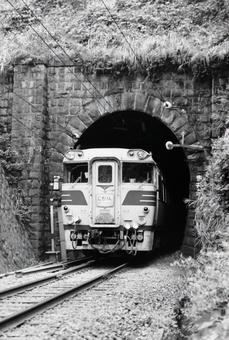 トンネルを抜けたキハ80系「にちりん」の写真