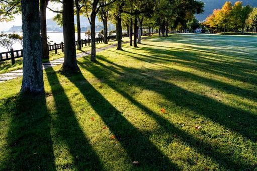 洞爺湖畔の芝生広場に伸びる長い影 芝生,木立,逆光の写真素材