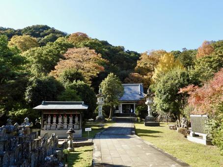 秋の伊豆願成就院 秋の伊豆願成就院 願成就院,寺院,寺の写真素材