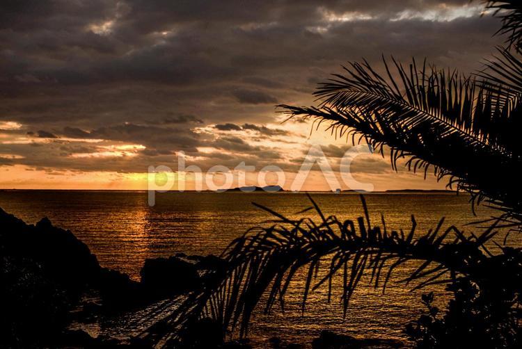 ＜素材＞秋の海に静かに沈む夕日と椰子 海,空,サンセットの写真素材