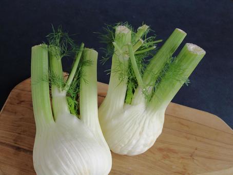 ウイキョウ フェンネル  イタリア野菜 野菜,原材料,フヌイユの写真素材