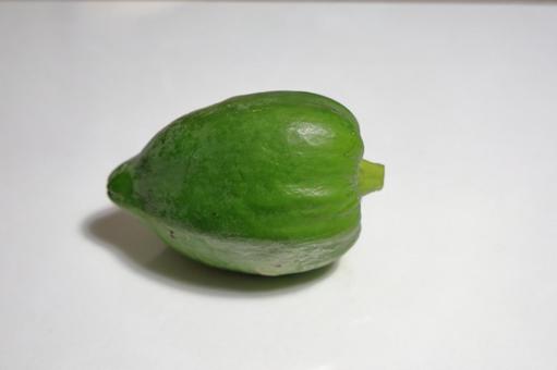 青パパイヤの果実 青パパイヤ,野菜,果実の写真素材